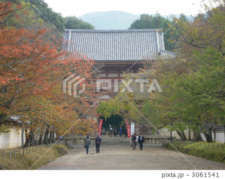 醍醐寺の仁王門 3061541