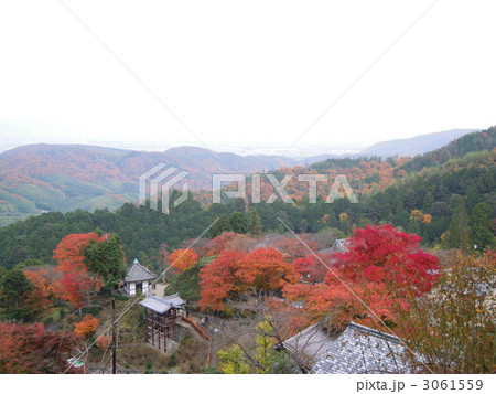 善峯寺 3061559