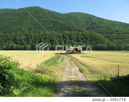 田園と小屋 3061778