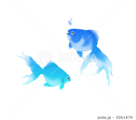 3061879