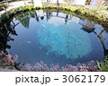 忍野八海 3062179