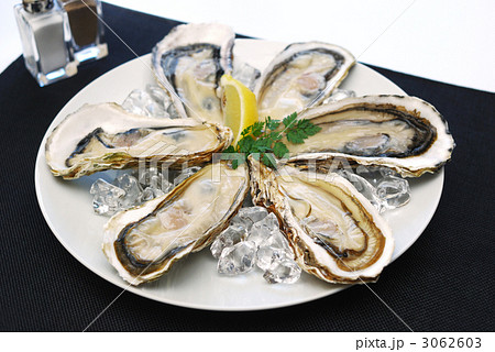 オイスター オイスター 3062603