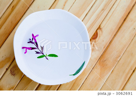 どなるでバジルの花 どなるでバジルの花 3062691