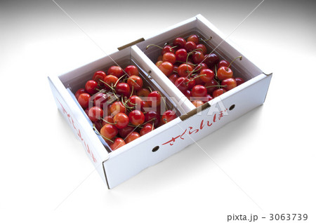 さくらんぼ　贈り物 3063739