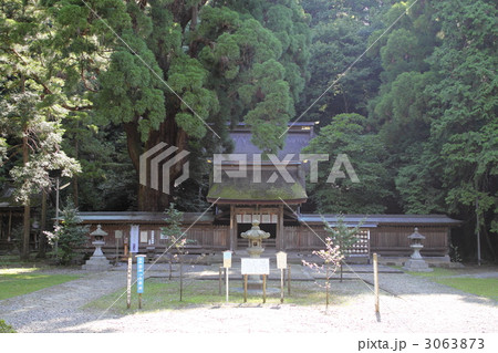 若狭国一宮下社若狭姫神社 3063873