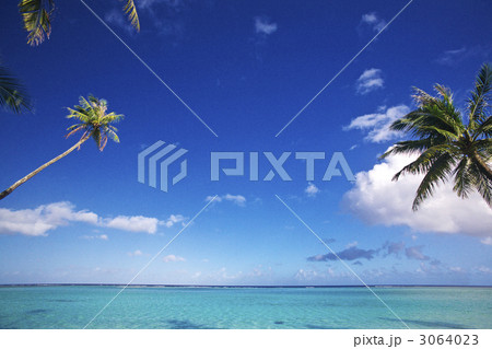 青い海とヤシの木 3064023
