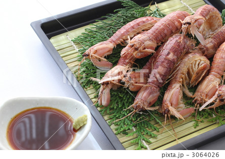 ゆで上がったシャコ 3064026