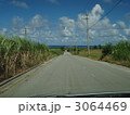 石垣島の海へと続くまっすぐな一本道 3064469
