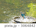 水花火 3064842