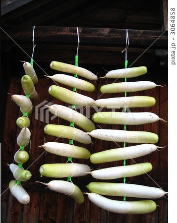 沢庵用大根を干す 3064858