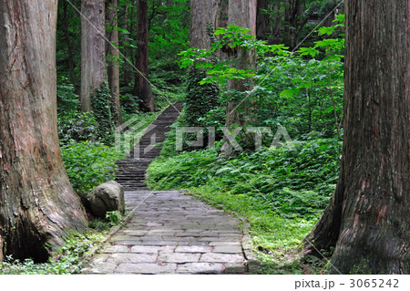羽黒山散歩・羽黒山参道 三の坂 田谷村杉 3065242