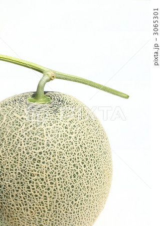 アールス系メロン 3065301