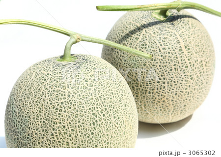 アールス系メロン 3065302