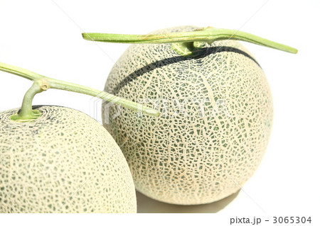 アールス系メロン 3065304