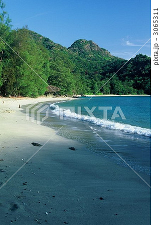 父島/境浦 父島/境浦 3065311