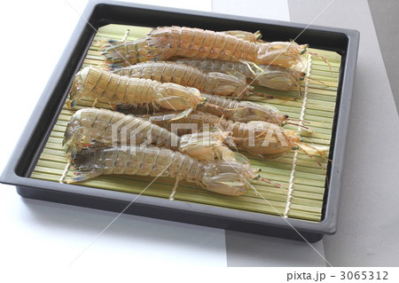 瀬戸内海のシャコ 3065312