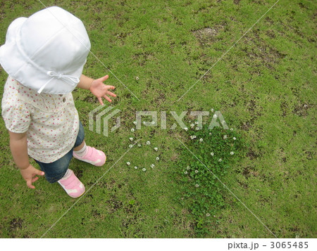 指で五つ！花も五つ！ 3065485