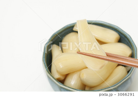 らっきょう 3066291
