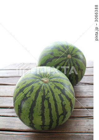 カットする前の2玉のらいでんスイカ　丸ごとスイカ 3066388