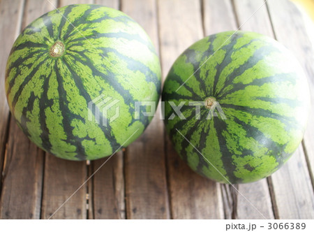 カットする前の2玉のらいでんスイカ　丸ごとスイカ 3066389