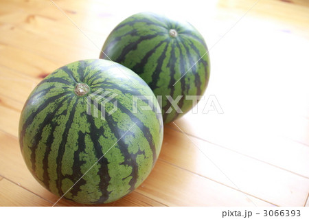 カットする前の2玉のらいでんスイカ　丸ごとスイカ 3066393