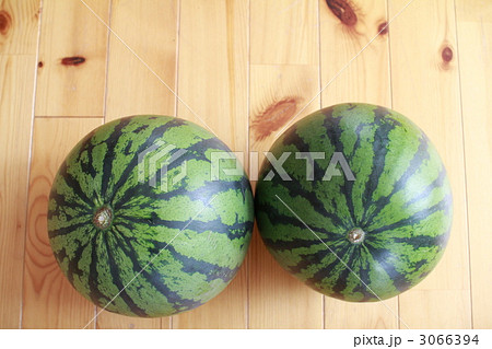 カットする前の2玉のらいでんスイカ　丸ごとスイカ 3066394