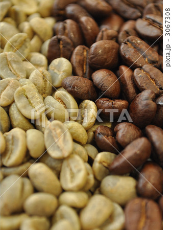 コーヒー豆　 3067308