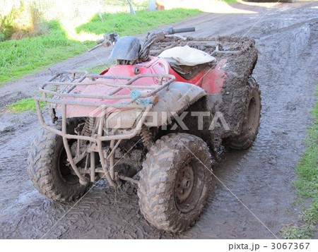 バギー バギー 3067367