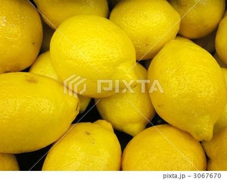 レモンの山 3067670