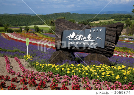 美瑛のぜるぶの丘 3069374