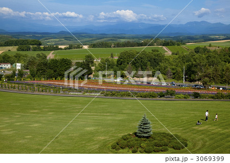 美瑛の丘 3069399