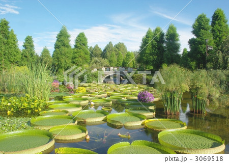 水生植物園 3069518