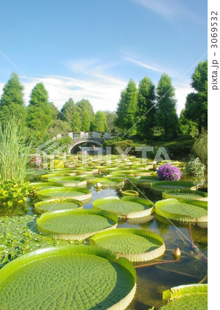 水生植物園 3069532