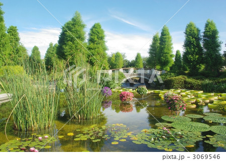 水生植物園 3069546