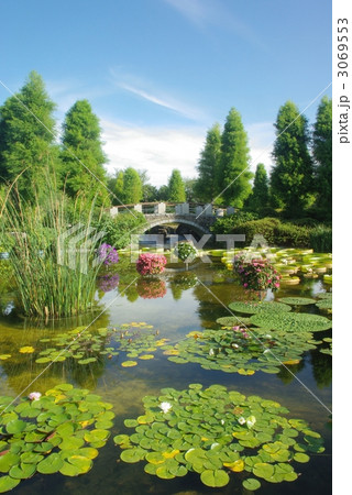 水生植物園 3069553