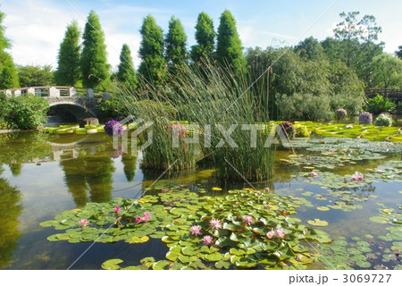 水生植物園 水生植物園 3069727