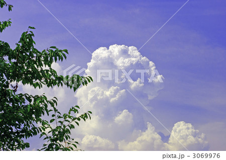 湧き立つ積乱雲(入道雲・雷雲) 湧き立つ積乱雲(入道雲・雷雲) 3069976