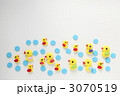 3070519