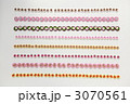 3070561