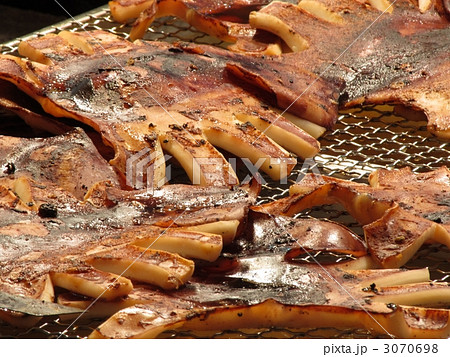 露店の焼きイカ 露店の焼きイカ 3070698