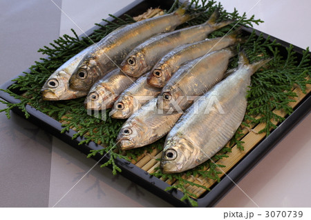 岡山産のママカリ 岡山産のママカリ 3070739