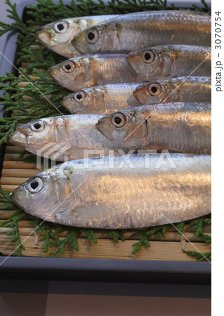 岡山産のママカリ 岡山産のママカリ 3070754