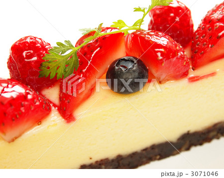 チーズケーキ チーズケーキ 3071046