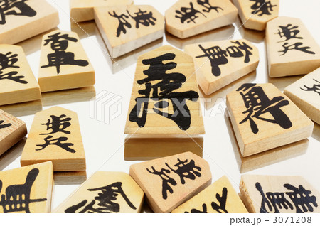 王将 3071208