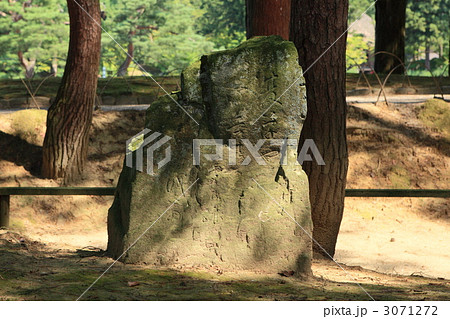 毛越寺芭蕉句碑 3071272