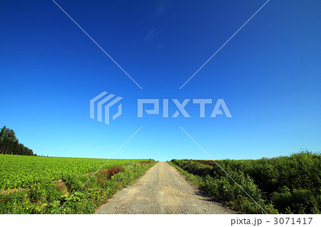 畑の中の一本道と地平線 畑の中の一本道と地平線 3071417