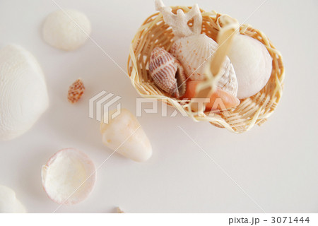 貝殻拾いイメージ 貝殻拾いイメージ 3071444
