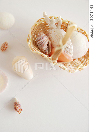 貝殻拾いイメージ 貝殻拾いイメージ 3071445