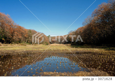 秋の谷戸 3071628