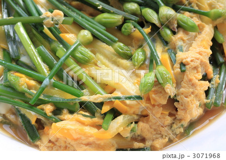 韮花の卵とじ 韮花の卵とじ 3071968